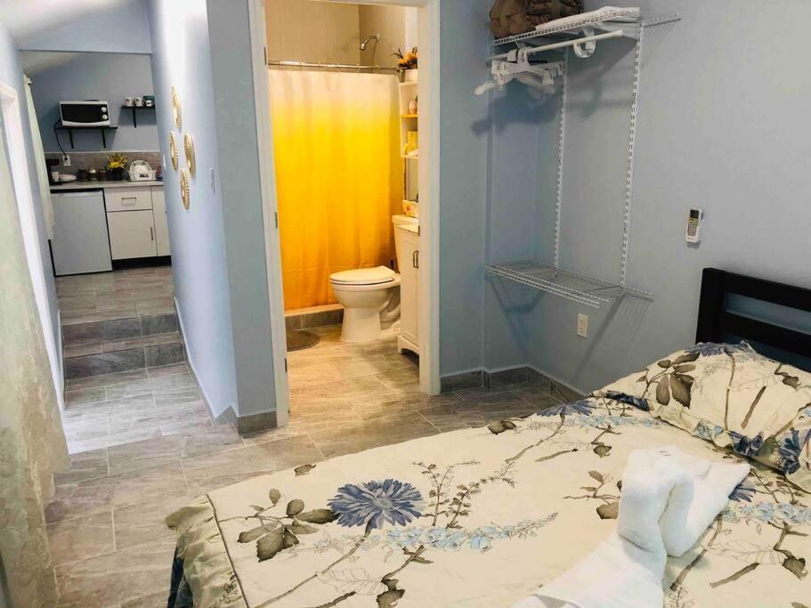 New Luxurious Studio Private In The Heart Of Miami Luaran gambar
