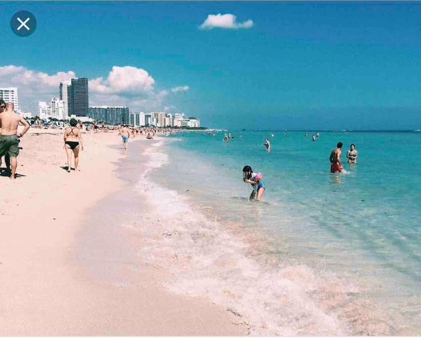 New Luxurious Studio Private In The Heart Of Miami Luaran gambar