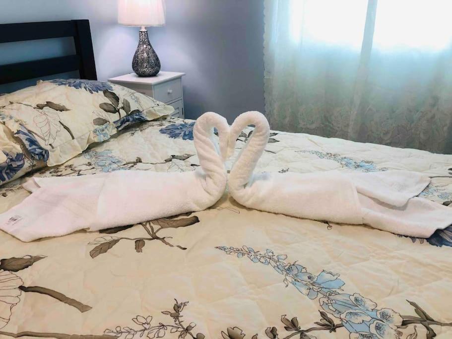 New Luxurious Studio Private In The Heart Of Miami Luaran gambar
